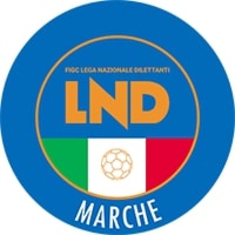 I nuovi gironi